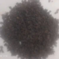 خشکبار برادران فلاح