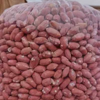 بادام زمینی برشته درجه یک|خوردنی و آشامیدنی|پارسآباد, |دیوار