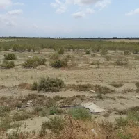 زمین زراعی و قابل ساخت دامداری
