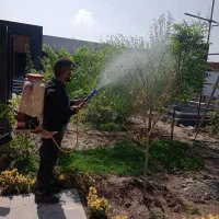 باغبانی تیلر زنی سمپاشی هرس
