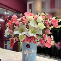 نیازمند نیروی خانم و اقا