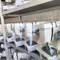 ژانومه استوک ژاپن