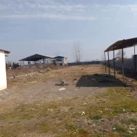 زمین ۲۰۰۰ متری/بر اصلی جاده آمل-محمودآباد|اجارهٔ دفتر صنعتی، کشاورزی، تجاری|آمل, |دیوار