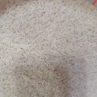 فروش برنج هاشمی علا