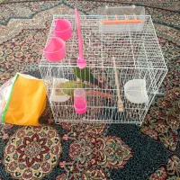 لانه|لوازم جانبی حیوانات|مشهد, انقلاب|دیوار