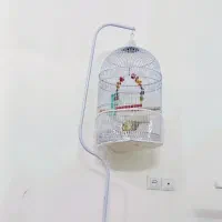 عروس هلندی با قفس