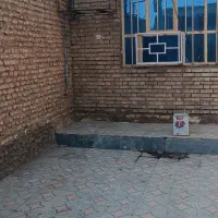 این خانه در کوی علوی
