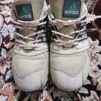 زدایکس اکومنت سفارش کره