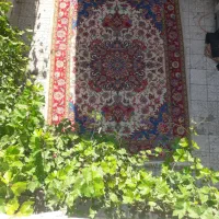 ۹ متری نقشه سالاری