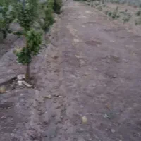 باغ|فروش خانه و ویلا|اشتهارد, |دیوار