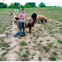 زمین-فروشی-جاده-بازمرگان-روستای-ریحان