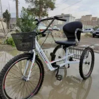 سه چرخه مخصوص افرادی که از دوچرخه می‌ترسند  بانوا