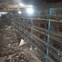 قفسه بلدرچین|لوازم جانبی حیوانات|بوئین زهرا, |دیوار