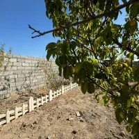 باغ باغچه زمین چهار دیواری آسفالت سند تک برگ|فروش زمین و ملک کلنگی|وحیدیه, |دیوار