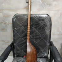 تنبور کاسه ای