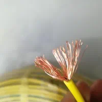 سیم برق وکابل برق با ضمانت نامه 10سال شرکتی تضمینی|عمده‌فروشی|اصفهان, قلعه طبره|دیوار