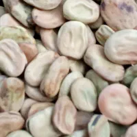 سلام باقالا