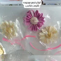 استند تک حروف|حراج|رشت, پاستوریزه|دیوار