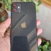 iphone 11 normal 128G|موبایل|کاشان, عربها|دیوار