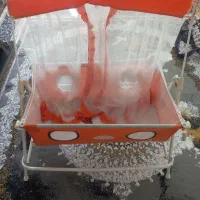 فروش گهواره