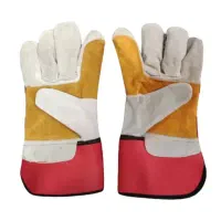 دستکش|ابزارآلات|قدس, شهر‌قدس|دیوار