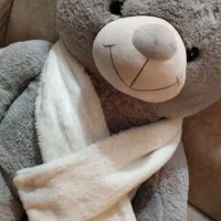 یک خرس پشمالو زیبا|کلکسیون و سرگرمی|زاهدان, |دیوار