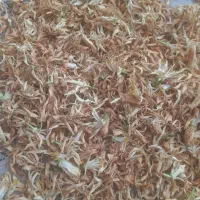بهار نارنج دست چین ،با عطر عالی