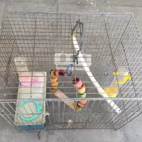 قفس‌ پرنده خانگی