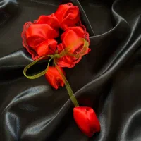 اکسسوری مو واسکرانچی و گلسر|زیورآلات و اکسسوری|بناب, |دیوار