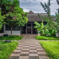 زمین گلمکان گاوترنا داخل بافت