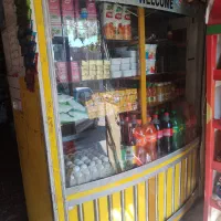 یخچال ایستاده دودرب