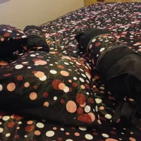 فروش فوری روتختی،مخمل،ساتن|سرویس روتختی|سرخه, |دیوار