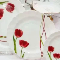 ظروف راهنمایی