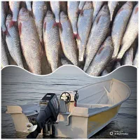 تور تفریحی ماهیگیری با قلاب دریا کاسپین