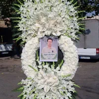 کد۰۰۷۸تاجگل ارسال رایگان