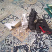 لباس وپالتو زمستونی ومانتو پیراهن همه در حد نو|لباس|بیرجند, |دیوار