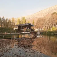 فیلمبرداری فرمالیته عروسی ،تولد،محضر،مدارس|خدمات پذیرایی، مراسم|تهران, علم و صنعت|دیوار