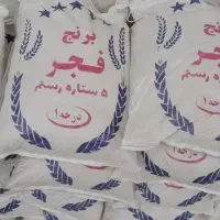 برنج طارم فجر شیراز