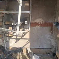 پلاکی|پرنده|اهواز, کوی ایثار|دیوار