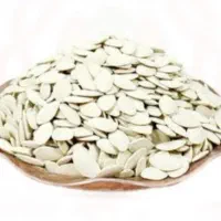 فروش تخم کدو