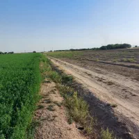 زمین گلتپه کبیر باغ ویلا دامداری سنددار|فروش دفتر صنعتی، کشاورزی، تجاری|قلعه نو, |دیوار