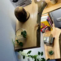 شلف دیواری  روستیک  حراج|کتابخانه، شلف، قفسه‌های دیواری|کرج, فاز ۱ مهرشهر|دیوار