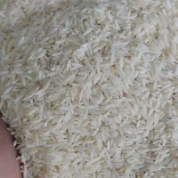 برنج حصارمشپا و مَمان میانه و علی کاظمی طارم|خوردنی و آشامیدنی|زنجان, |دیوار