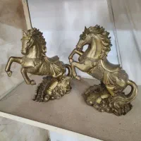 اسب وحشی تایلندی برنز