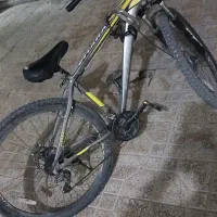 دوچرخه ۲۹ بزرگسال