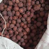 ارسال از رامهرمز