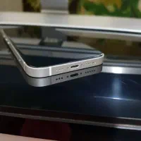 iphone 13 ch/A|موبایل|پرند, فاز ۵|دیوار