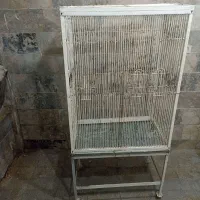 قفس بزرگ