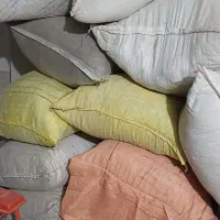 کود کبوتری