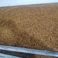 پیاز داغ|خوردنی و آشامیدنی|رشت, لاکان شهر|دیوار